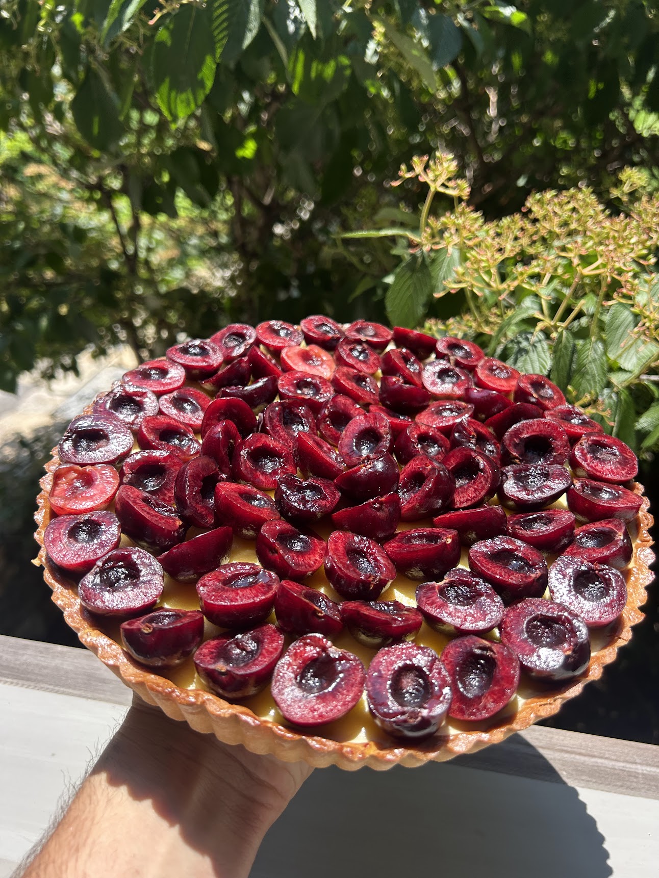 Black cherry lemon tart